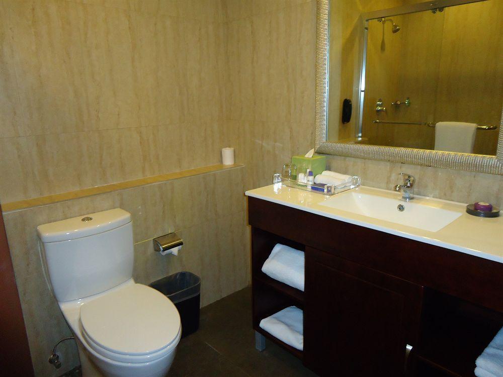 The Metroplace Inside Ascendas It Park Taramani 3* Chennai