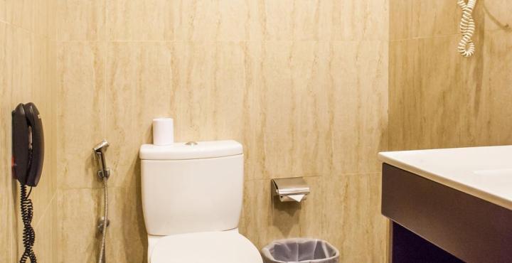 The Metroplace Inside Ascendas It Park Taramani Hotel 3*